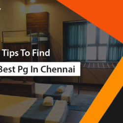 best Pg in Chennai