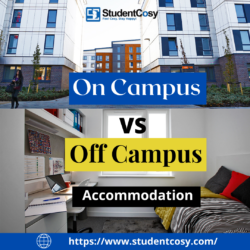 On-campus vs off-campus accommodation